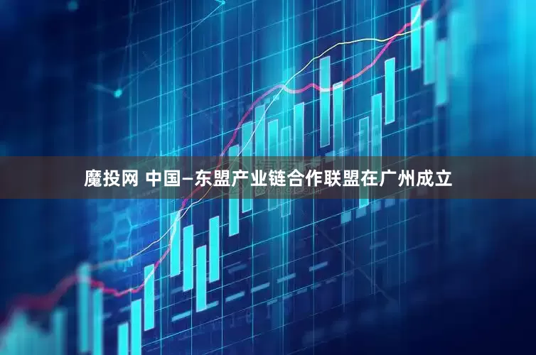魔投网 中国—东盟产业链合作联盟在广州成立
