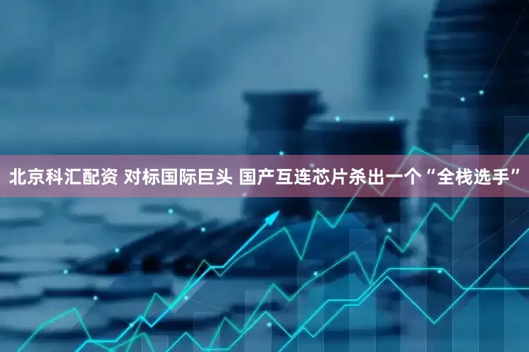 北京科汇配资 对标国际巨头 国产互连芯片杀出一个“全栈选手”